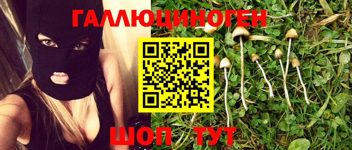 Псилоцибиновые грибы мухоморы Славгород